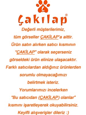 Çakılap All Weneed Peace Baskılı Porselen At-Söndür Küllük (Kl-Krs)