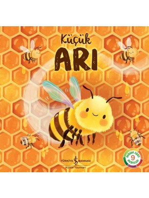 Küçük Arı