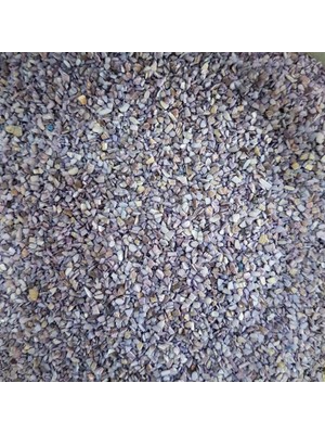 Cici Mor Deniz Kabuğu Kumu 100 G