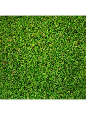 Cici Yeşil Deniz Kabuğu Kumu 100 G