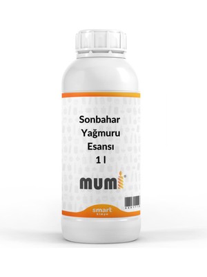 Mumi Mum Esansı Sonbahar Yağmuru 1 lt