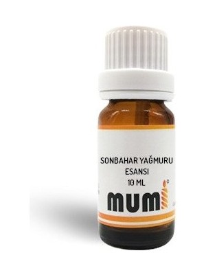 Mumi Mum Esansı Sonbahar Yağmuru 10 ml