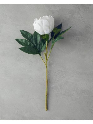 English Home Peony Tek Dal Yapay Çiçek Beyaz