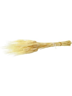 Hobi Market Kuru Çiçek Kurutulmuş Başak Mor