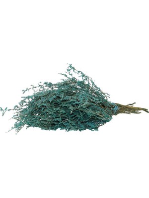 Hobi Market Kuru Çiçek Kurutulmuş Tatarika Mavi