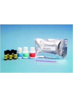 Neogen Veratox Deoksinivalenol (Don) Test Kiti