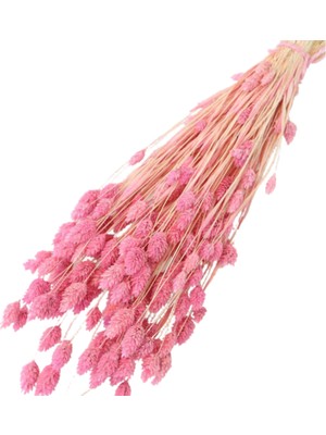 Cici Kuru Çiçek Kurutulmuş Kuşdili Pembe