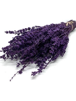 Refox Şoklanmış Lavanta Demeti Natural Lavender Bundle Mor 40-50 cm