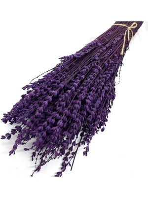 Refox Şoklanmış Lavanta Demeti Natural Lavender Bundle Mor 40-50 cm