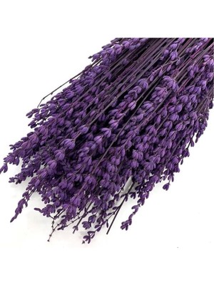 Refox Şoklanmış Lavanta Demeti Natural Lavender Bundle Mor 40-50 cm