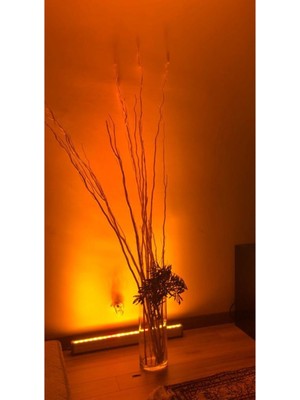 Ledrica 30 cm Amber Rengi LED Wallwasher (Aydınlatma ile Duvar/ Boyama)