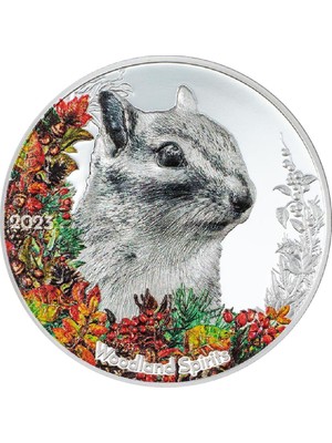 AgaKulche Woodland Spirits Chipmunk 2023 1 Ons 31.10 Gram Gümüş Sikke Coin (999)