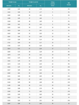 Nazik Endam Nazikendam Özel Seri - Rodyum Kaplama Kalemli 5 Sıra Turkuaz Zirkon Taşlı Tamtur Yüzük - Kadın - 4.64 Gram