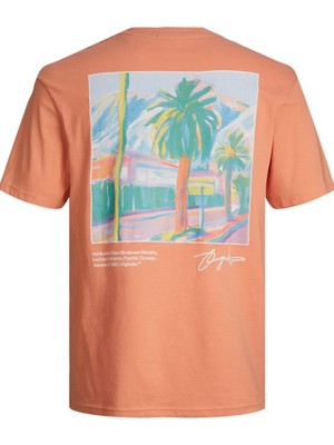 Jack & Jones Joraruba Landscape Tee Ss Crew Neck12255525 Pudra