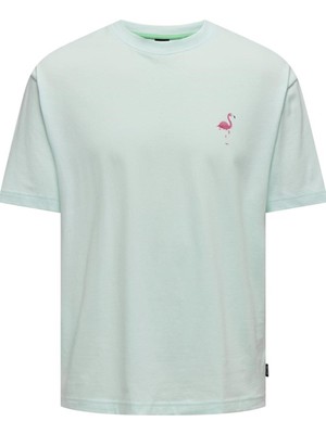 Jack & Jones Only & Sons Onsmervyn Lıfe Rlx Summer Ss Tee 22029519 Mavi