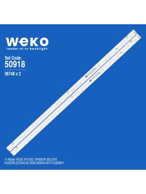 OEM WKSET-5918 36748X2 KJ32D06-ZC22AG-05 303KJ320043 2 Adet LED Bar 6V