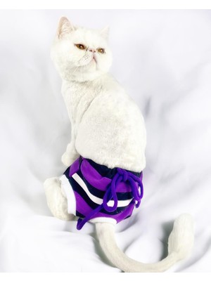 Kemique Modern Purp Kemique's Secret Kedi Iç Çamaşırı  Regl Külot  Don