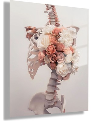 Gaagart Temperli Cam Poliklinik Tablosu Fizyoterapi Sanatsal Omurga