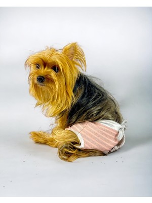 Kemique Pink Shine Kemique's Secret Köpek Iç Çamaşırı Regl Külot Don