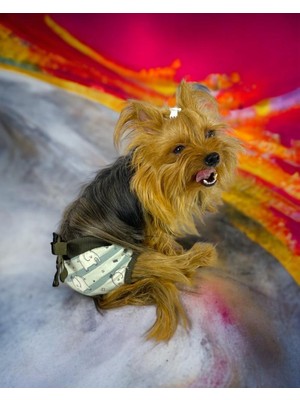 Kemique My Elephant Kemique's Secret Köpek Iç Çamaşırı Regl Külot Don