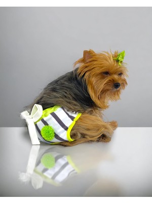 Kemique Lime Fuzz Kemique's Secret Köpek Iç Çamaşırı Regl Külot Don