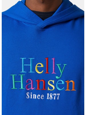 Helly Hansen Core Graphic Erkek Kapüşonlu Sweatshirt