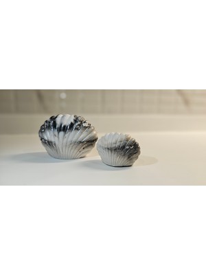 Laurel-Wood 2'li Deniz Kabuğu Seti(Vernikli)