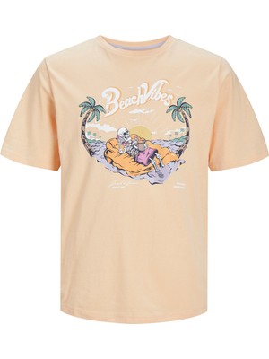 Jack & Jones Bisiklet Yaka Turuncu Erkek T-Shirt Jjzıon Tee Ss Crew Neck