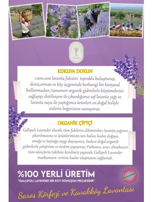 Dr. Kurutulmuş Lavanta Çiçeği 100 Gr. 3 x 100 gr 3'lü Lavanta Çiçeği