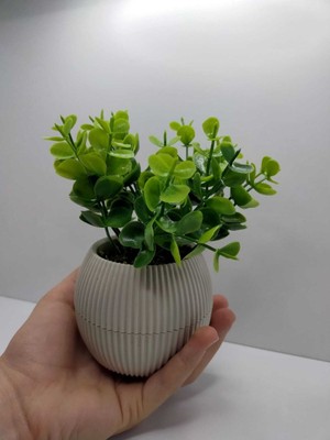 Ddpest Ds- Bej Saksı Şimşir Yapay Çiçek Bitki Gerçek Taş Yosunlu 18 cm Dekoratif Masa Raf Çiçeği No:1