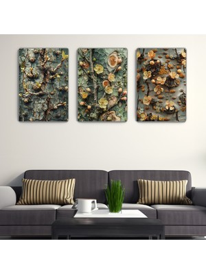 Arkeot Yaşam Döngüsü 3'lü Set Kanvas Duvar Tablosu - Ev Salon Oturma Odası Mutfak Ofis Dekorasyonu