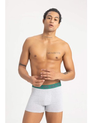 DeFacto Regular Fit 3'lü Boxer B0582AX23AU