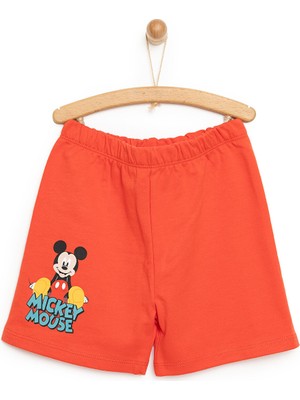 Disney 24Y Mickey Mouse Şort Erkek Bebek