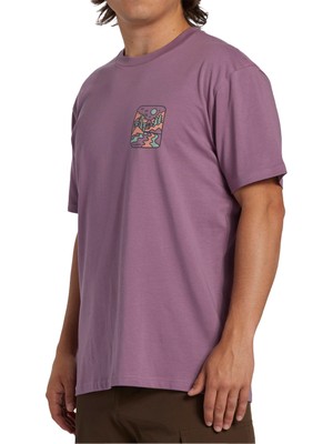 Billabong Shine Erkek T-shirt