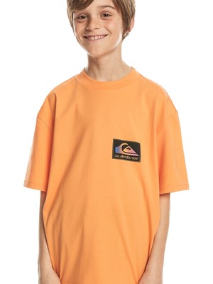 Quiksilver Back Flash Youth Erkek Çocuk  Tişört