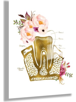 Gaagart Temperli Cam Diş Poliklinik Tablosu Çiçekli Diş Tasarımı