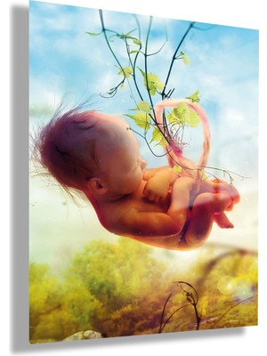 Gaagart Temperli Cam Tüp Bebek Poliklinik Tablosu Doğa ve Fetüs