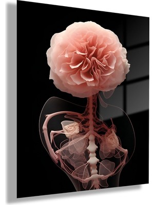 Gaagart Temperli Cam Ortopedi Poliklinik Tablosu Soft Tasarım