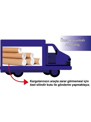 Ayza Tasarım Deniz Hayvanları Temalı Çocuk Odası Sticker Seti Kreş Okul Sticker Seti