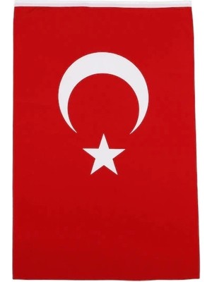 Sina Filamax (10 Adet) 30X45 Alpaka Kumaş Türk Bayrağı