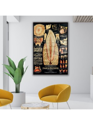 Gaagart Metal Çerçeveli Cam Diş Poliklinik Tablosu Diş Yapısı Poster