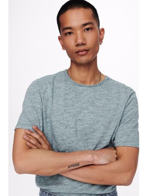 Only & Sons Erkek T-Shirt Short Sleeved T-Shirt- 22005108