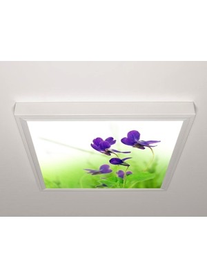 Gök Panel 60X60 LED Panel Aydınlatma Armatür Avize Sıva Üstü Desenli Tekli 46510700SU