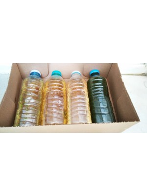 Koçlar Yeşil Su+Supiresi 500 adetten az olmayan dolphinamanga