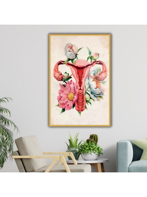 Gaagart Metal Çerçeveli Cam Kadın Doğum Poliklinik Tablosu Soft Uterus