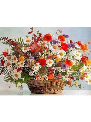 Womb Hobby Çiçek Sepeti Sayılarla Boyama SETI(80X100) cm Tuval Şasesine Gerili)
