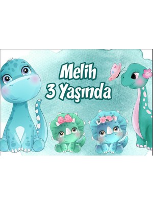 Reysa Tasarım Dinozorlar Temalı Doğum Günü Afişi-50 x 70 cm