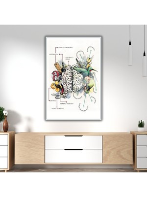 Gaagart Metal Çerçeveli Cam Poliklinik Tablosu Sanatsal Beyin Bölümleri