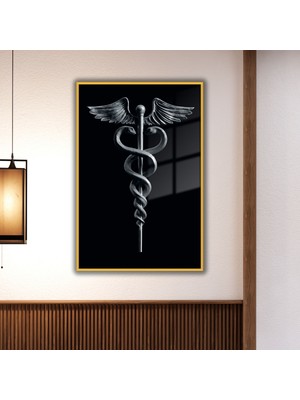 Gaagart Metal Çerçeveli Cam Poliklinik Tablo Tıp Sembolü Asklepios-Asa