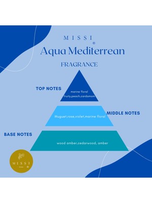 Missi 110 ml Silindir Şişe Aqua Medıterranean Oda Kokusu